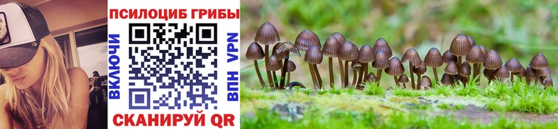 Псилоцибиновые грибы мухоморы Иваново